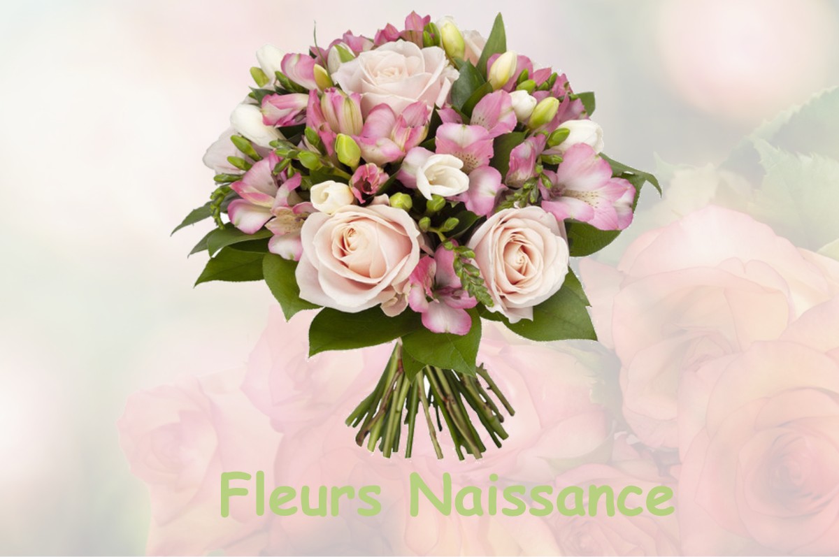 fleurs naissance MARIGNY-LE-CAHOUET
